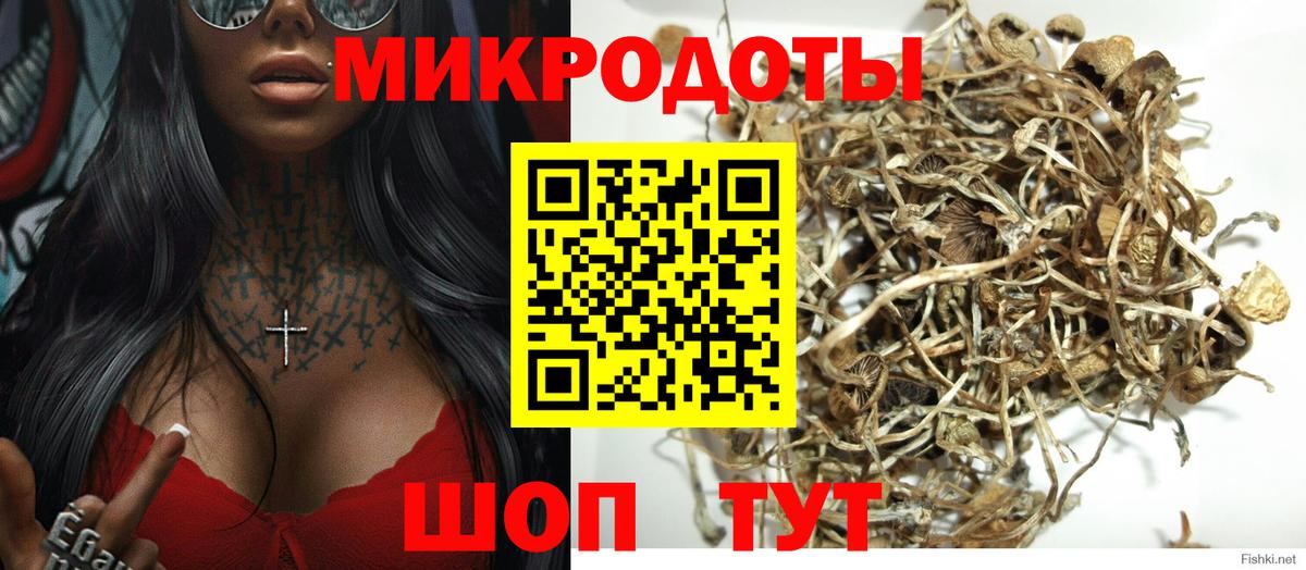 Будённовск  Псилоцибиновые грибы прущие грибы  Псилоцибиновые грибы мухоморы  Вход с VPN 