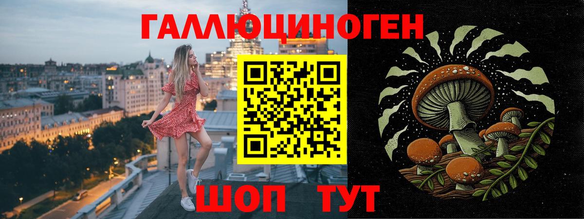 Псилоцибиновые грибы мицелий Будённовск